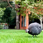W Dlugosiodle 2 Sypialnie Przy Samym Lesie ロッジ Długosiodło