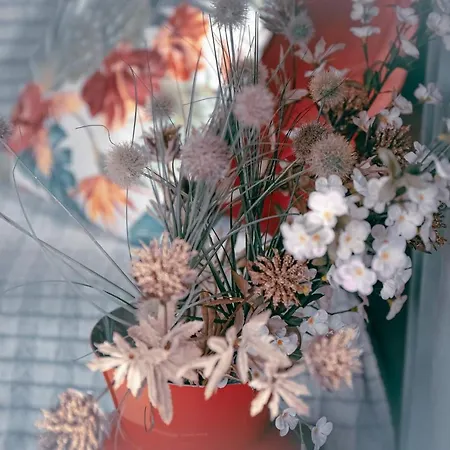 W Dlugosiodle 2 Sypialnie Przy Samym Lesie אכסניה