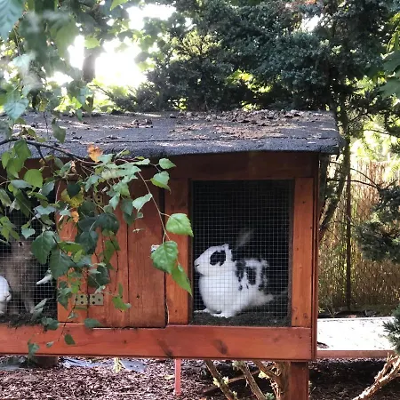 W Dlugosiodle 2 Sypialnie Przy Samym Lesie *