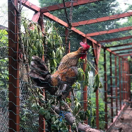 אכסניה W Dlugosiodle 2 Sypialnie Przy Samym Lesie