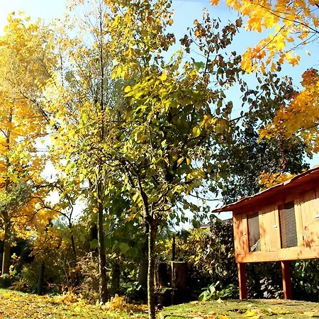 אכסניה W Dlugosiodle 2 Sypialnie Przy Samym Lesie Dlugosiodlo