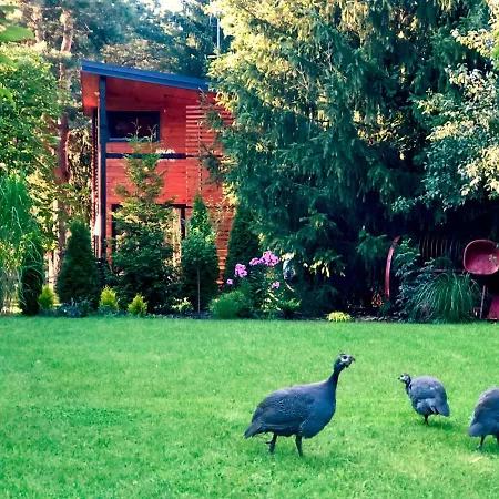 W Dlugosiodle Lodge