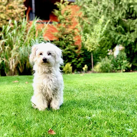 W Dlugosiodle 2 Sypialnie Przy Samym Lesie