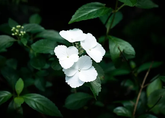 Lodge W Dlugosiodle 2 Sypialnie Przy Samym Lesie Dlugosiodlo