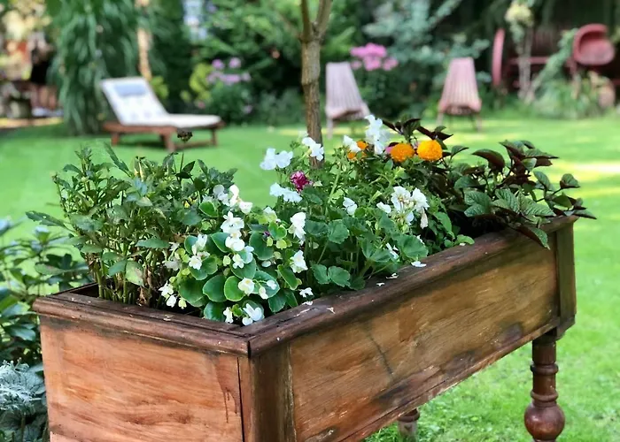 Lodge W Dlugosiodle 2 Sypialnie Przy Samym Lesie Dlugosiodlo