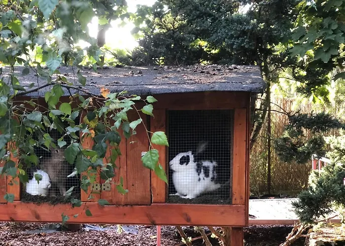 W Dlugosiodle 2 Sypialnie Przy Samym Lesie *