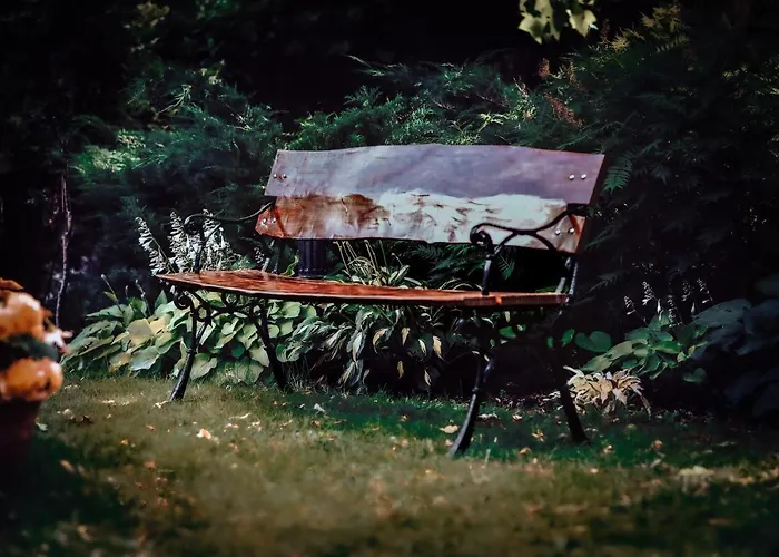 W Dlugosiodle 2 Sypialnie Przy Samym Lesie Lodge