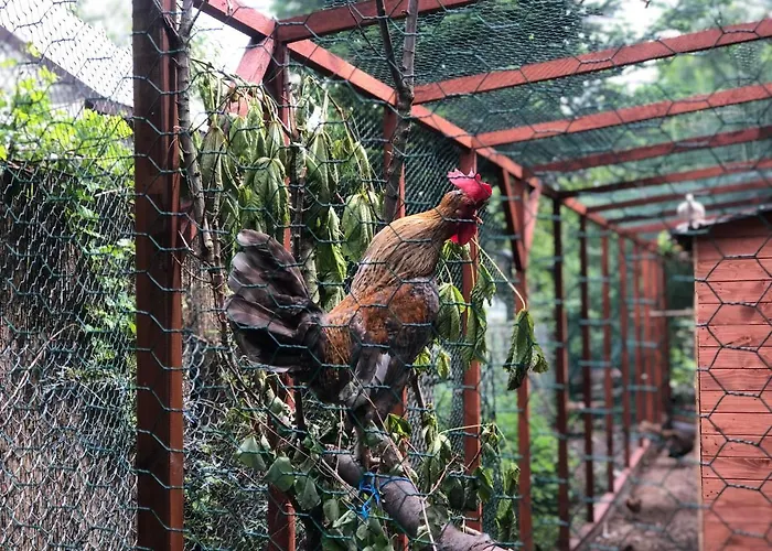 Lodge W Dlugosiodle 2 Sypialnie Przy Samym Lesie