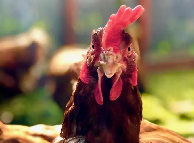 W Dlugosiodle 2 Sypialnie Przy Samym Lesie Dlugosiodlo