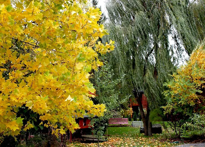 W Dlugosiodle 2 Sypialnie Przy Samym Lesie Dlugosiodlo