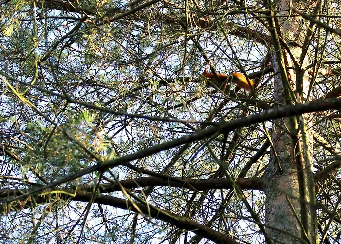 Lodge W Dlugosiodle 2 Sypialnie Przy Samym Lesie Dlugosiodlo