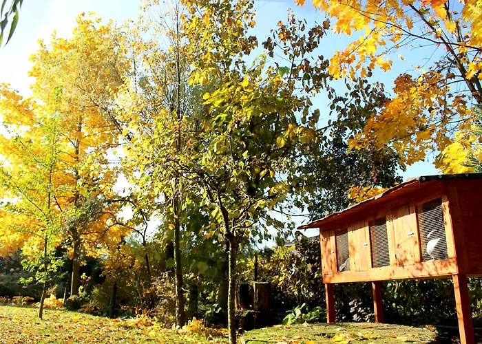 Lodge W Dlugosiodle 2 Sypialnie Przy Samym Lesie Dlugosiodlo