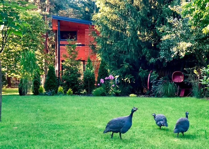 W Dlugosiodle 2 Sypialnie Przy Samym Lesie Lodge