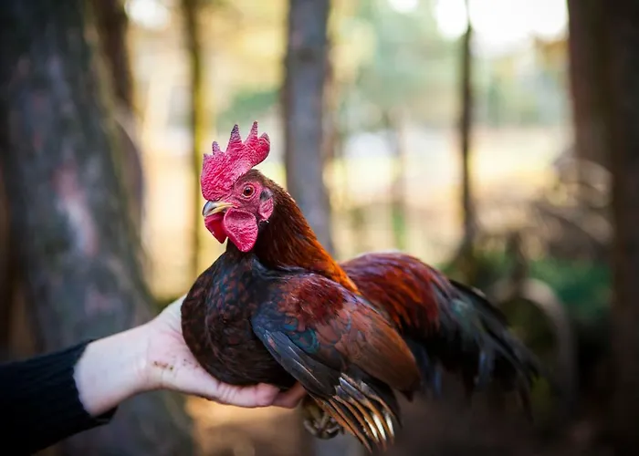 Lodge W Dlugosiodle 2 Sypialnie Przy Samym Lesie Dlugosiodlo