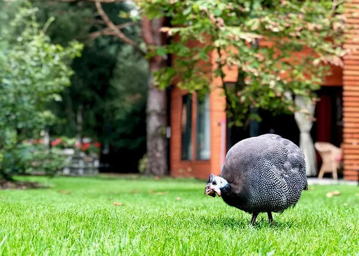 W Dlugosiodle 2 Sypialnie Przy Samym Lesie Lodge Dlugosiodlo