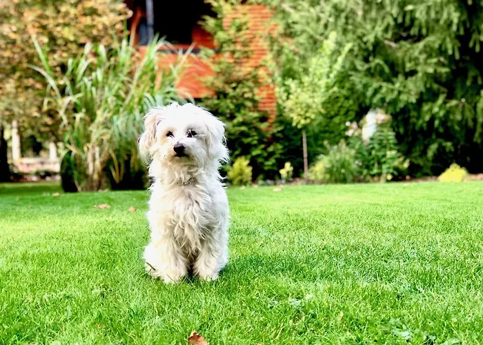 W Dlugosiodle 2 Sypialnie Przy Samym Lesie