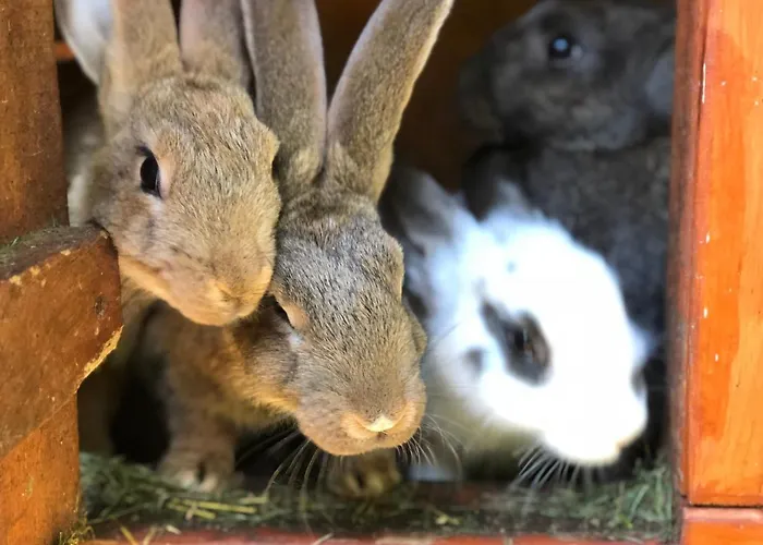 W Dlugosiodle 2 Sypialnie Przy Samym Lesie Lodge Dlugosiodlo